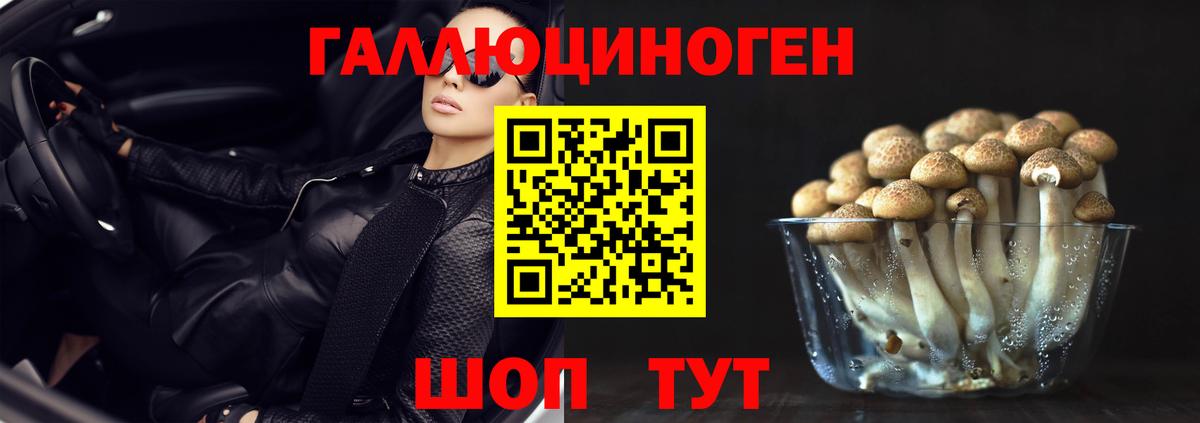 Ипатово  Галлюциногенные грибы прущие грибы  Псилоцибиновые грибы мицелий  Вход с VPN 