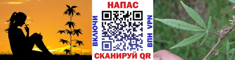 Канабис Ganja  Ипатово 